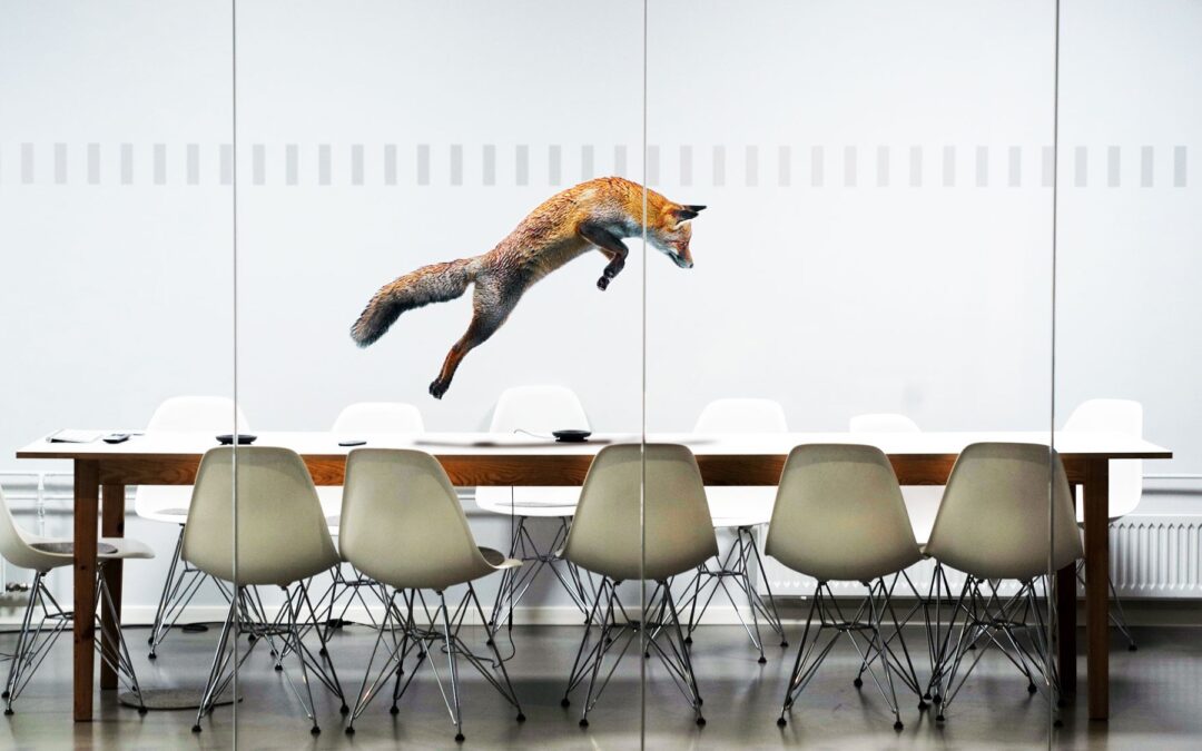 Fox IT