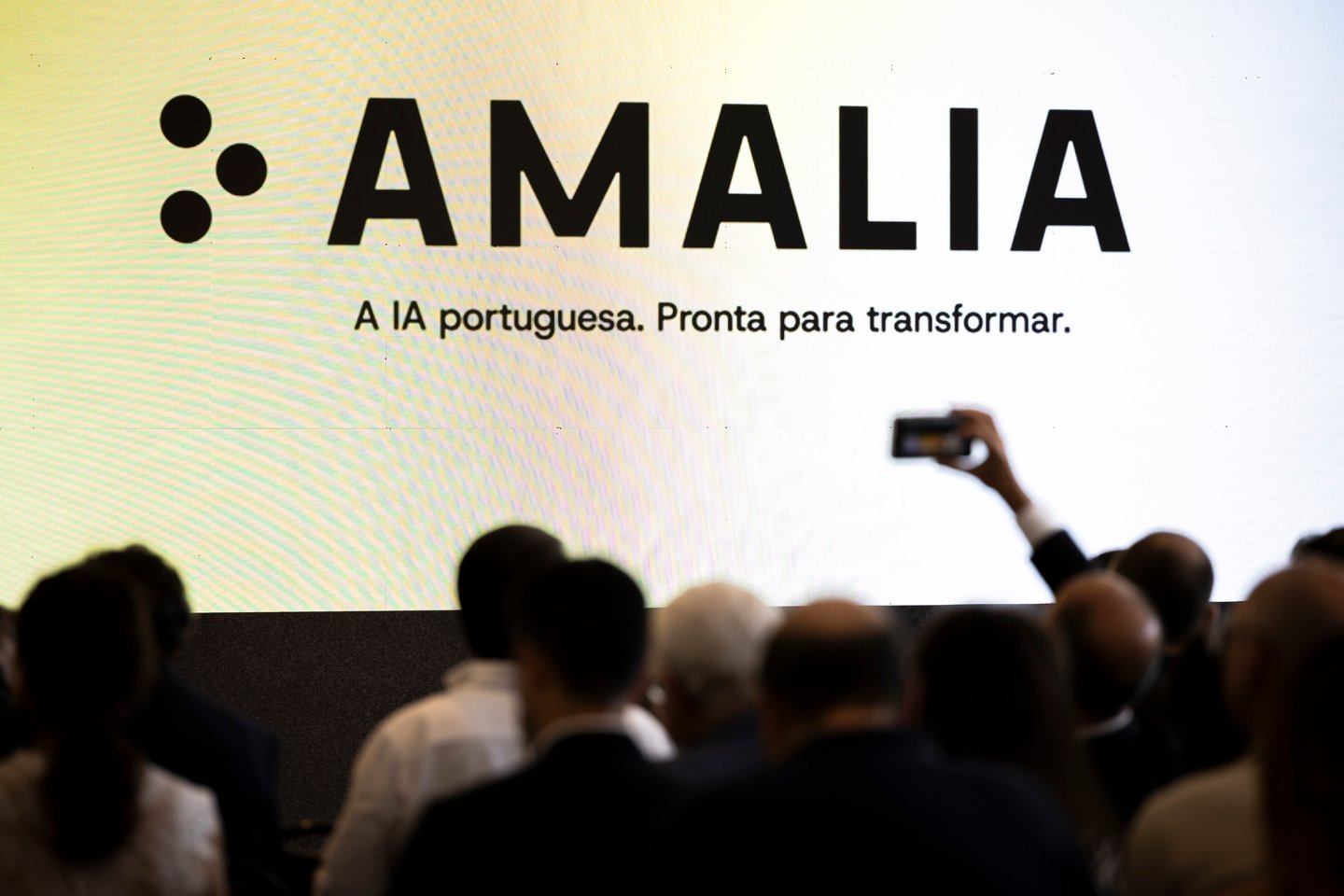 Amália alucina em versão chatbot (que não é suposto ser)