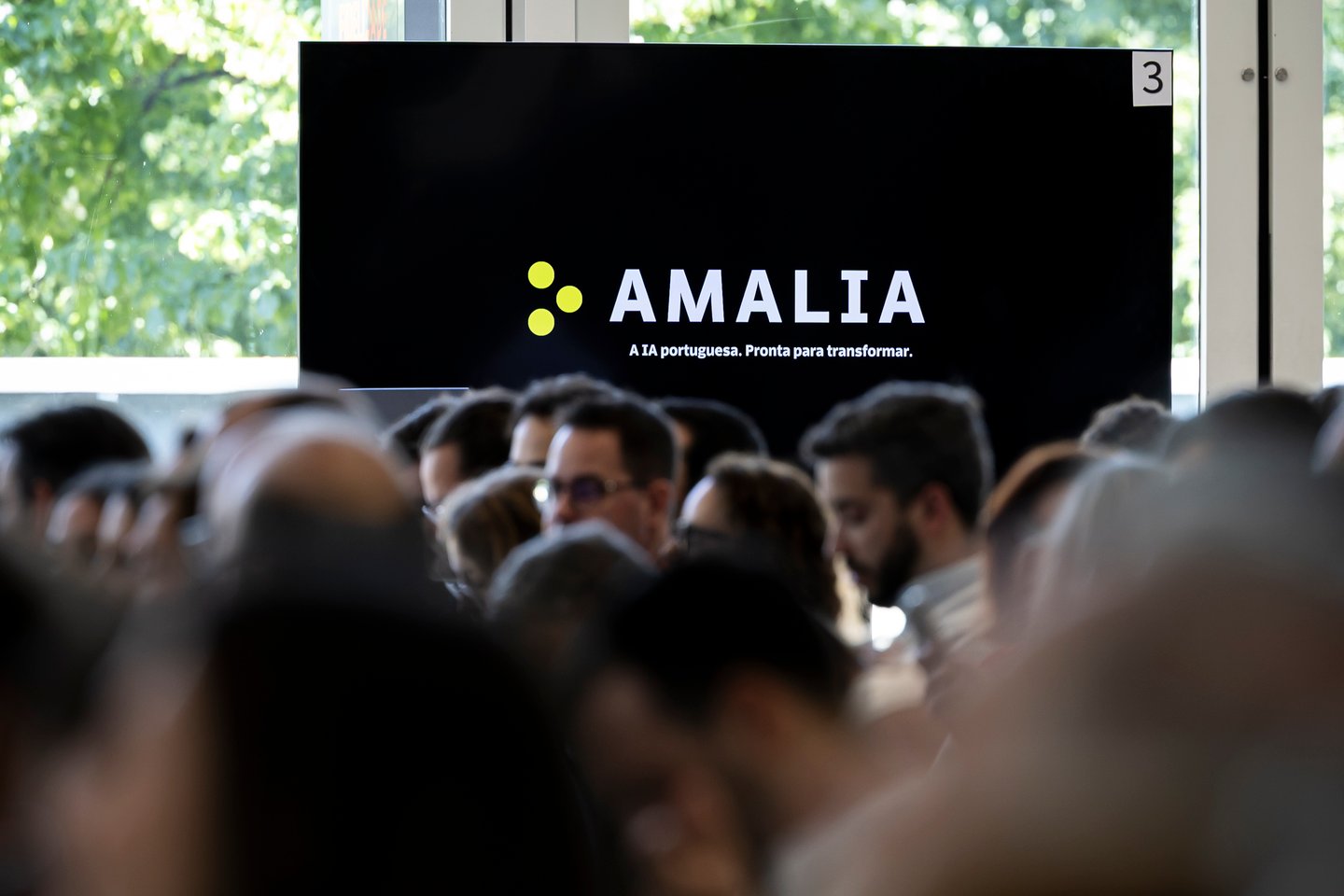 Governo vai propor a empresas de media treino do Amália