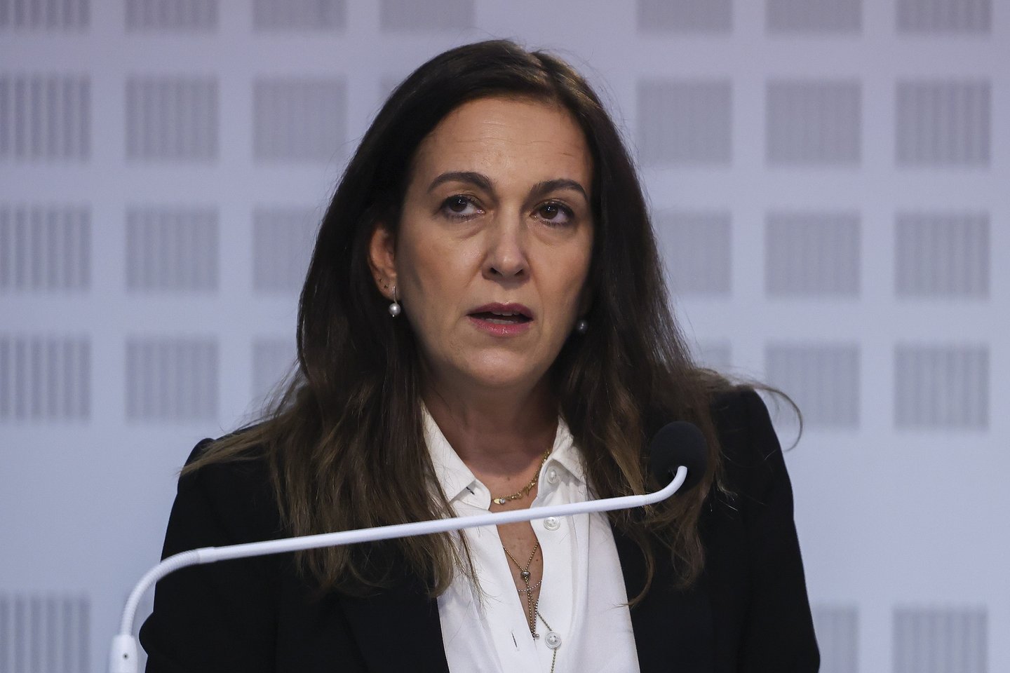Ministra da Justiça está a analisar apelos sobre Rui Pinto